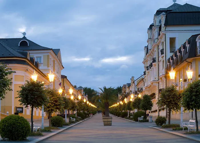Hotel Dr. Adler & Františkovy Lázně
