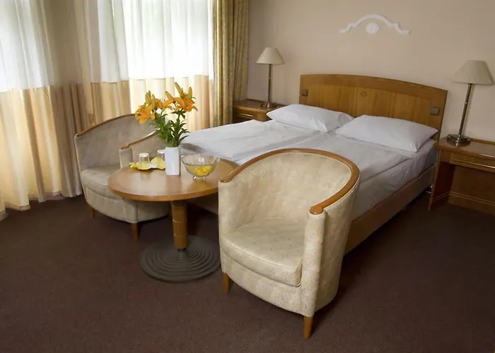 Dr. Adler Spa & Kurhotel Франтишкови-Лазне
