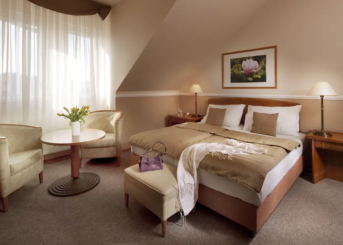 Dr. Adler Spa & Kurhotel Отель