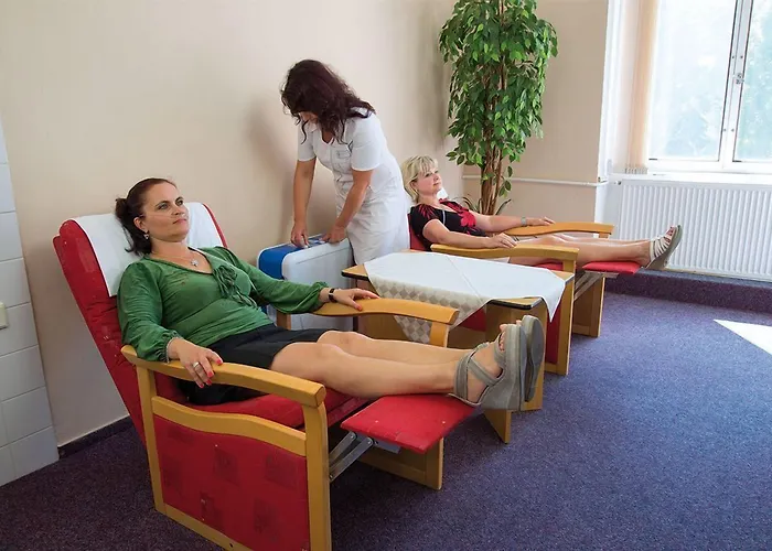 Dr. Adler Spa & Kurhotel 3* Франтишкови-Лазне